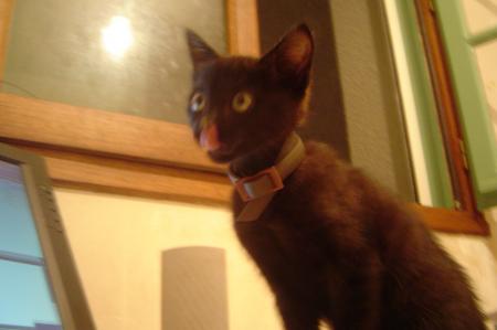 Ma minette !